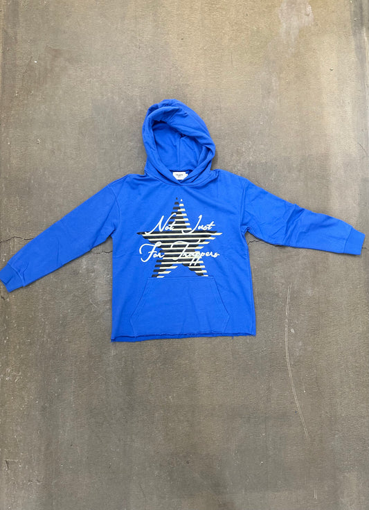 Blue not just for trappers hoodie